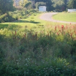  Jardin pluvial et noue canalisant l'eau