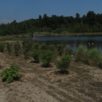  Site de démonstration - Halte de verdure