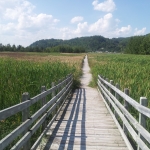  Les trottoirs de bois sur le bord du fjord