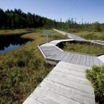  Passerelle aménagée dans la tourbière Chute-Panet