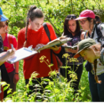  bioblitz 2018 (Crédit photo : Ville de Québec)