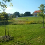  Vue générale du jardin pluvial