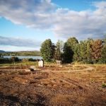  Forêt nourricière à la fin des travaux de plantation de 2020. Crédit photo : Amélie Lefebvre