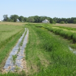  Bande riveraine élargie