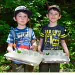  bioblitz 2018 (Crédit photo : Ville de Québec)