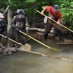  L'équipe des poissons en plein action