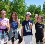  bioblitz 2018 (Crédit photo : Ville de Québec)