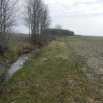  Exemple d'une bande riveraine en milieu agricole