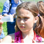  bioblitz 2018 (Crédit photo : Ville de Québec)