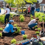  Journée de plantation dans le stationnement du marché public à Shawinigan