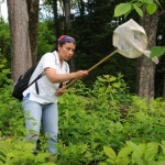  Échantillonnage des insectes