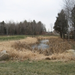  Bassin de rétention : vue vers la rue de Chambly (2009-12)