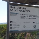  Les battures de Saint-Fulgence