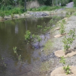  Après les plantations