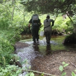  Pêche électrique dans la rivière au Pin